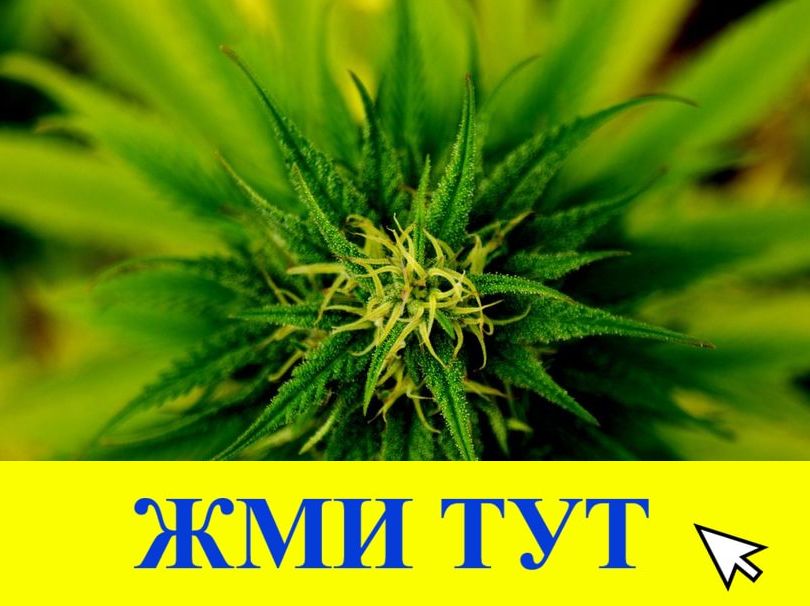 Купить наркотики в Ленинск-Кузнецком